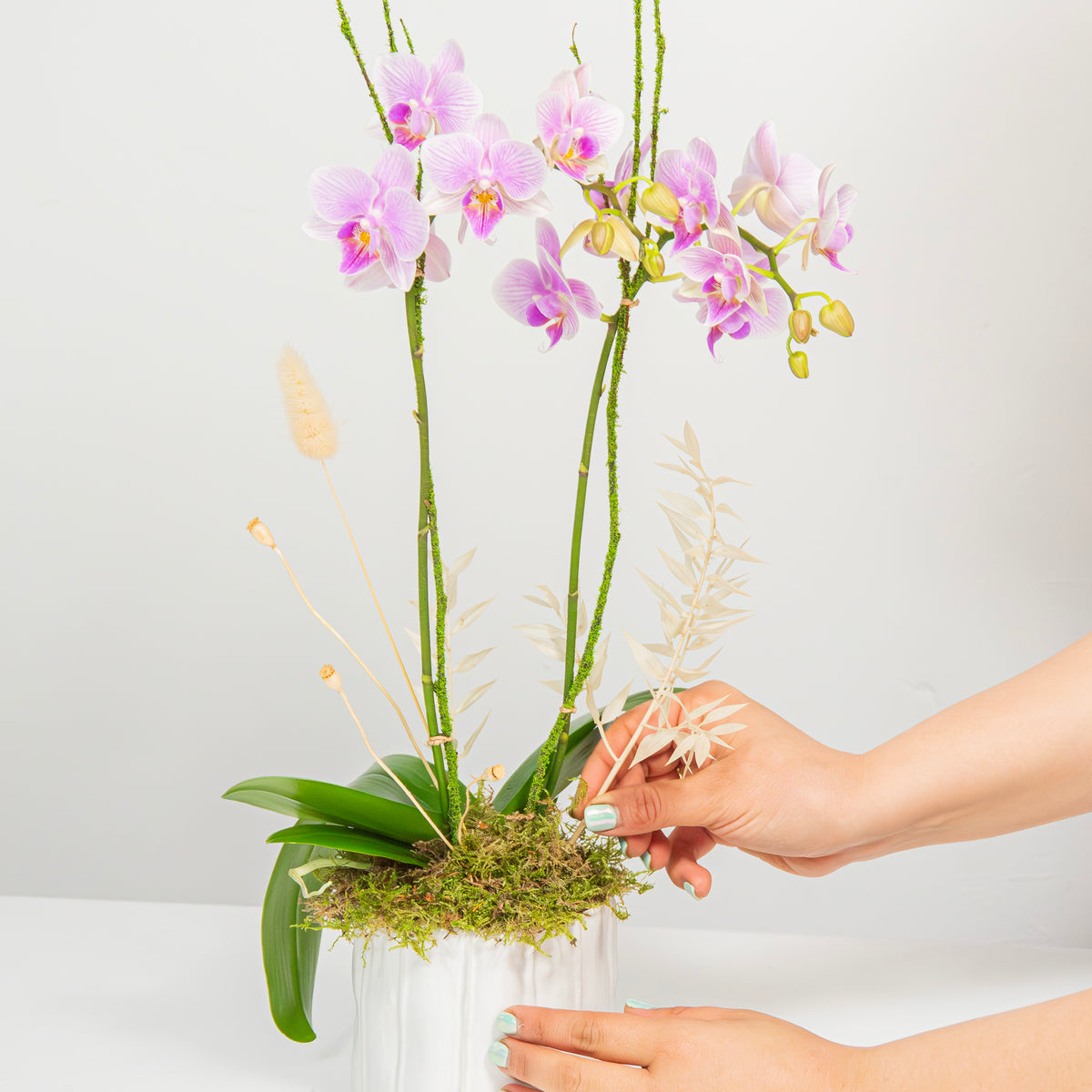 Whimsy — orchid with dried elements
