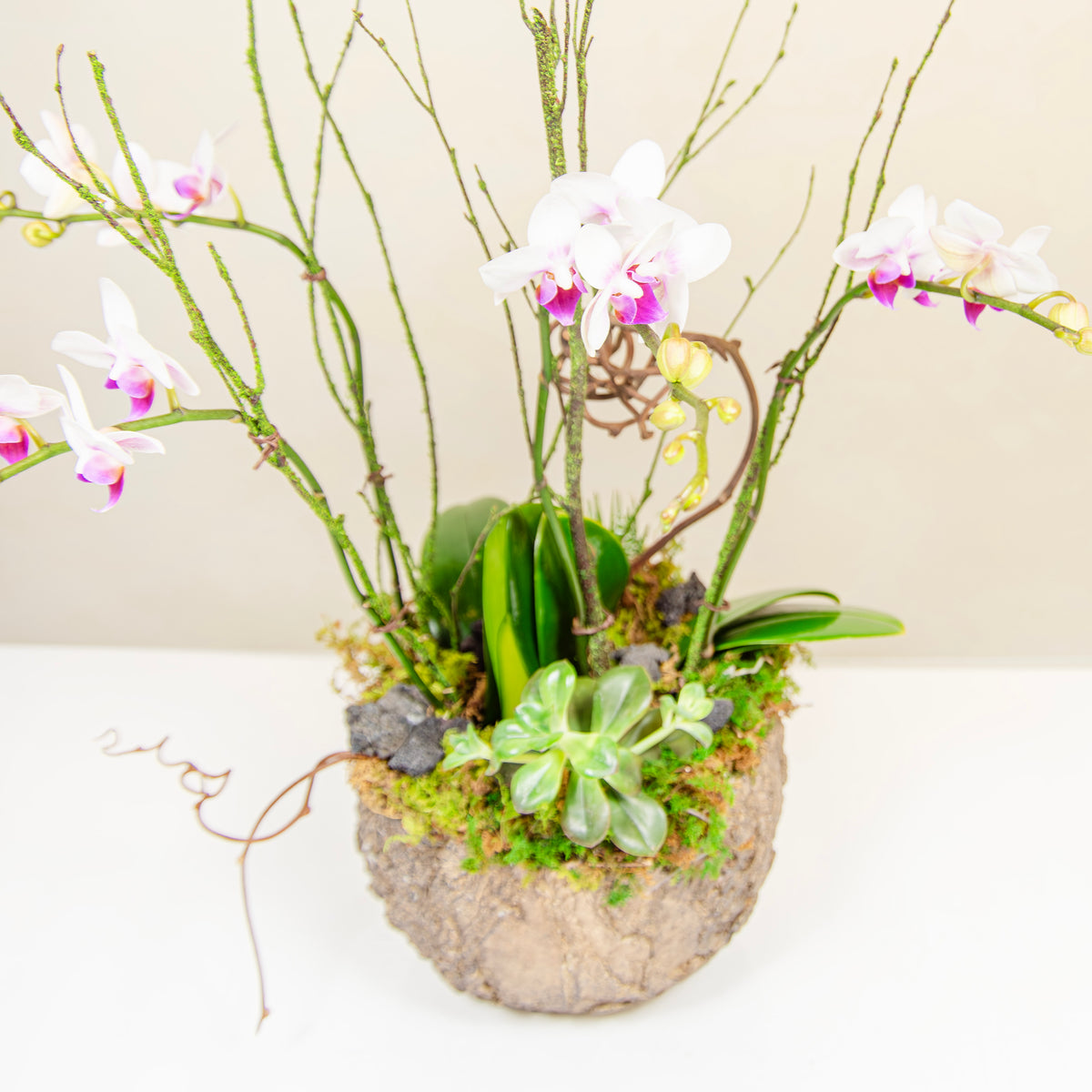 Enchanted Orchid arrangement